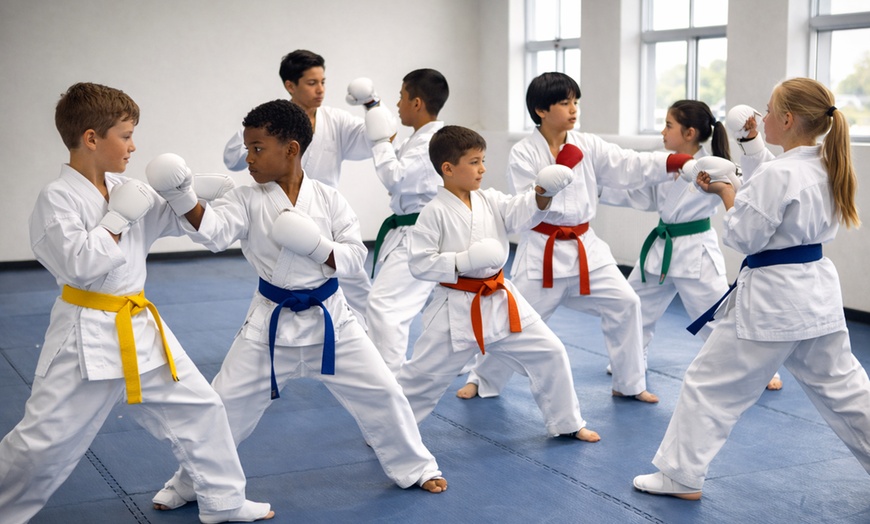 Image 3: Karate Classes for Kids & Adults - Seikou Karate USA