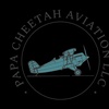 Image 3: Up to 28% Off on Airplane Experience at Papa Cheetah Aviation LLC