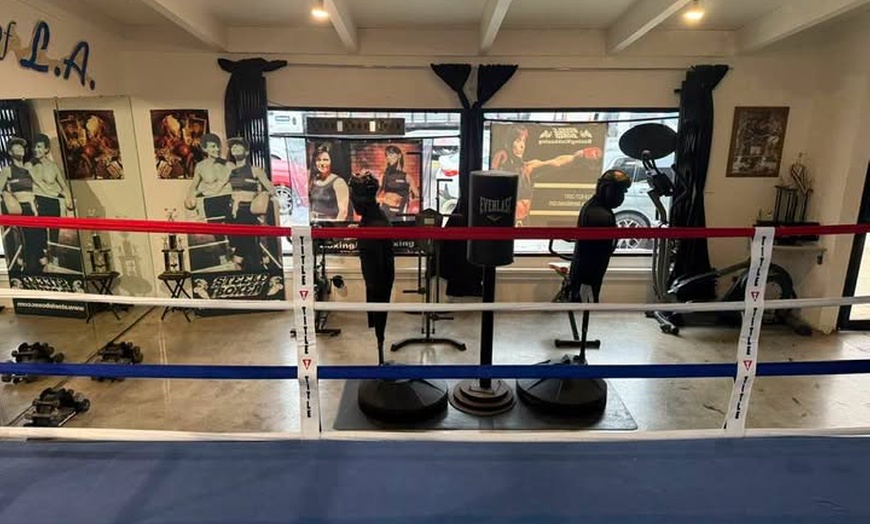 Image 9: 3 or 5 One-on-one Boxing & Kickboxing Training Sessions