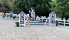 Gallop into Fun with Resolute Farm! Enjoy 1, 3, or 5 Private 30-min Horseback Riding Lessons! (Up to 55% Off)