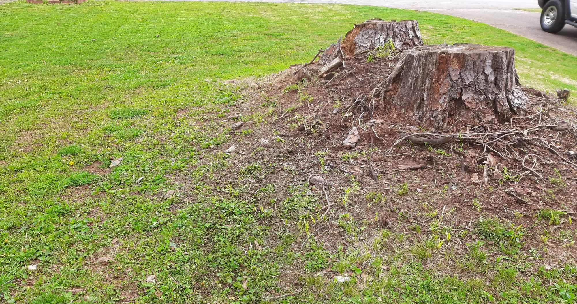 Up to 43% Off on Lawn Mowing Service at Cut Cut - Second Medium
