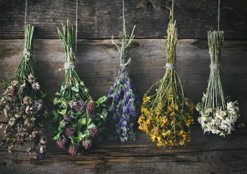 Taller de elaboración de pan, jabones, cestería, plantas o setas