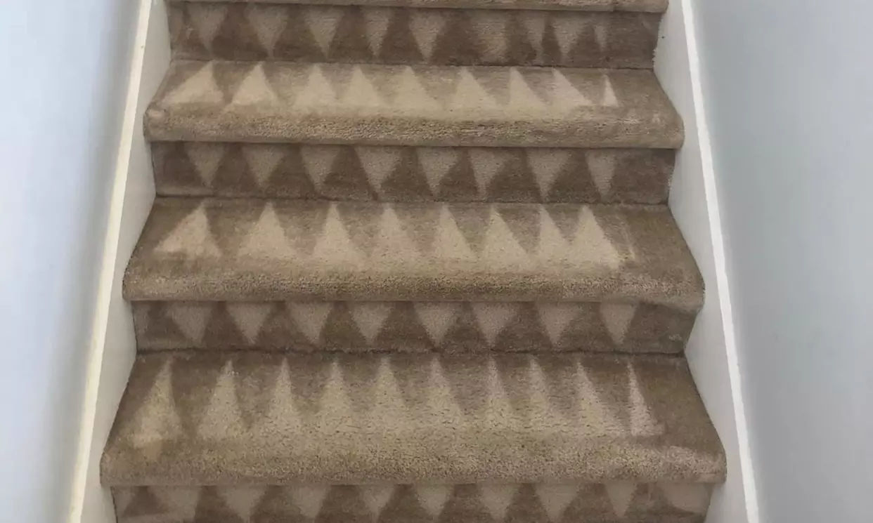 Up to 52% Off on Carpet Cleaning at NuWave Cleaning Solutions - Image 6