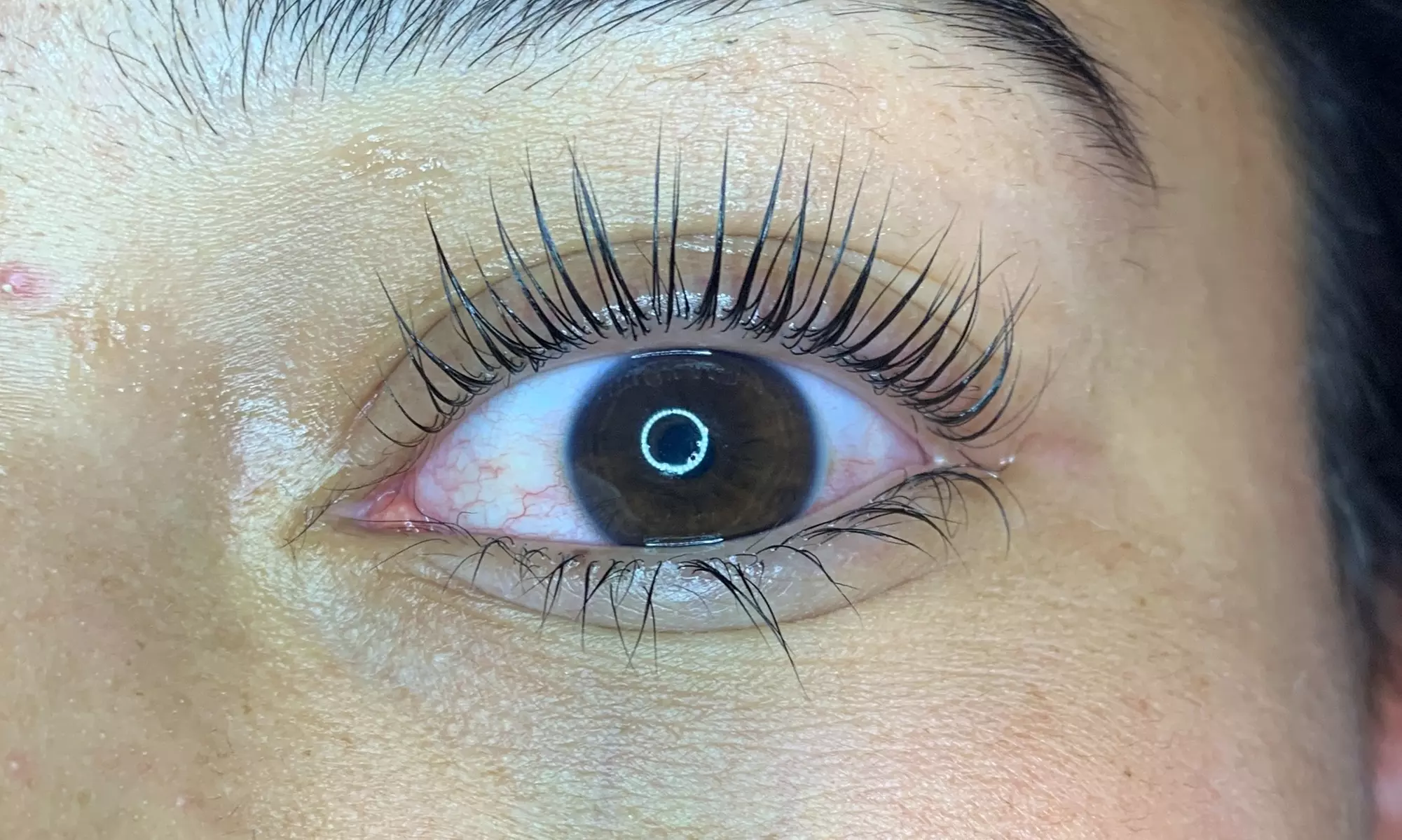 Elevate Your Look w/ One Eyelash Lift Treatment with Optional One Eyelash Tinting at Angel Eyyes (Up to 52%Off) - Primary Image