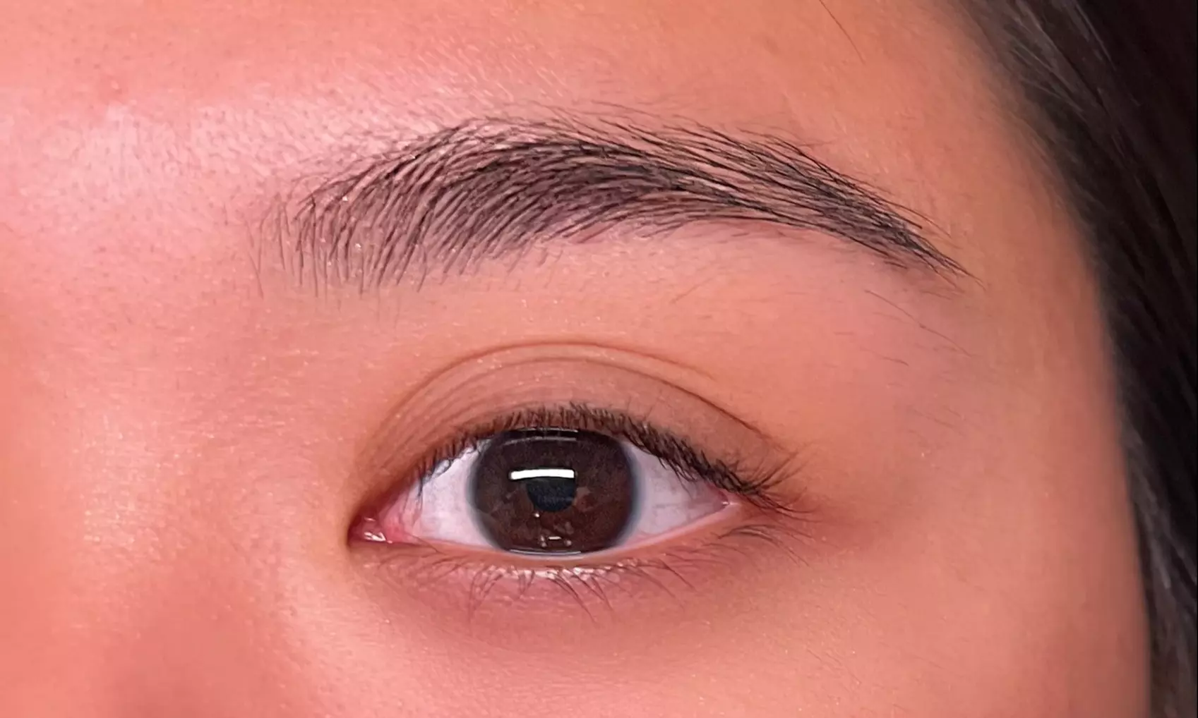 Transform Your Look with Lash Lift & Tint, Brow Lamination, Wax & Tint