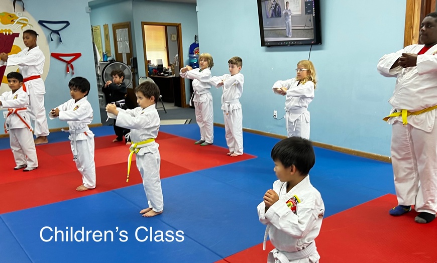 Image 3: Martial Arts Training at Villari's Martial Arts Centers Somerville