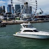 Image 4: 90-Minute Miami Celebrity Homes & Millionaire Mansions Boat Tour