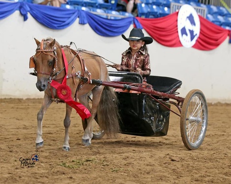 What to expect media