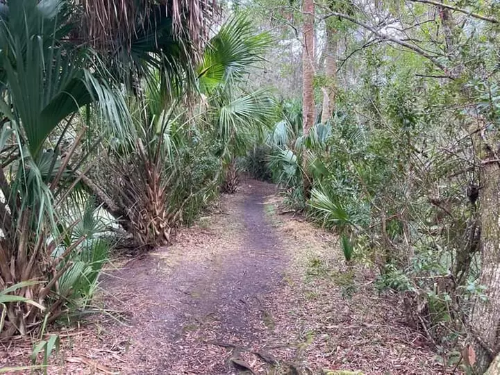 Guided Backpacking Treks in Florida Backcountry