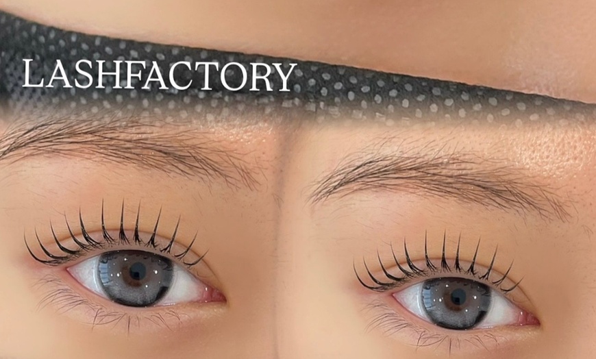 Image 2: Korean Eyelash Lift or Lift with Extensions for Fuller, Longer Lashes