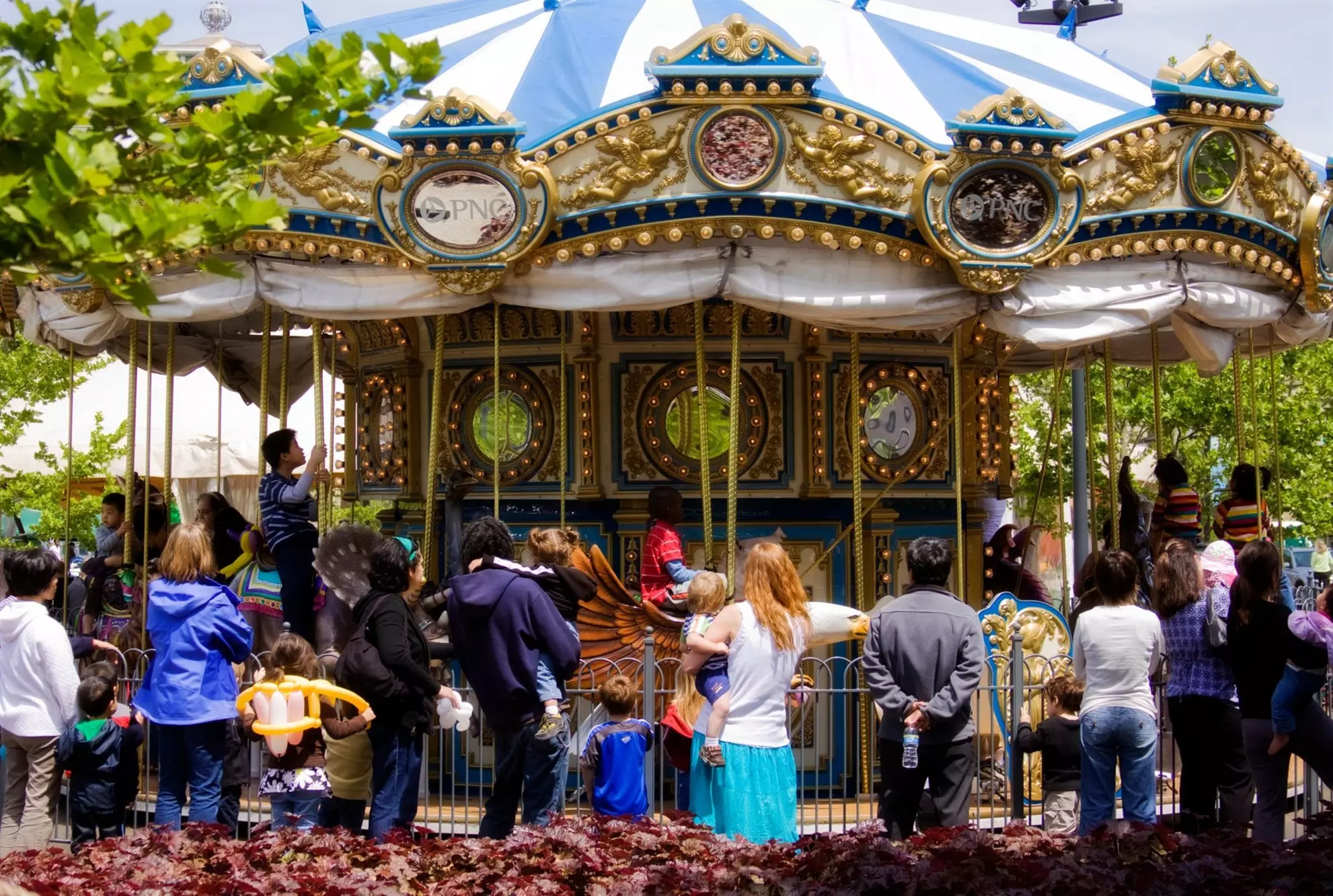 Single Day Pass for One or Family Day Pass for up to 4 Riders