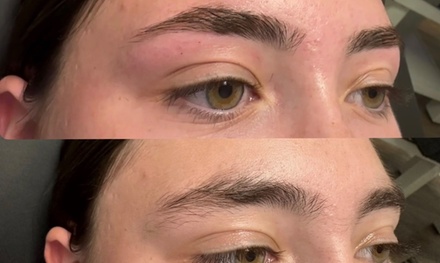 Eyebrow Upgrade! Wax,Shape,and Trim - Melted By Liv