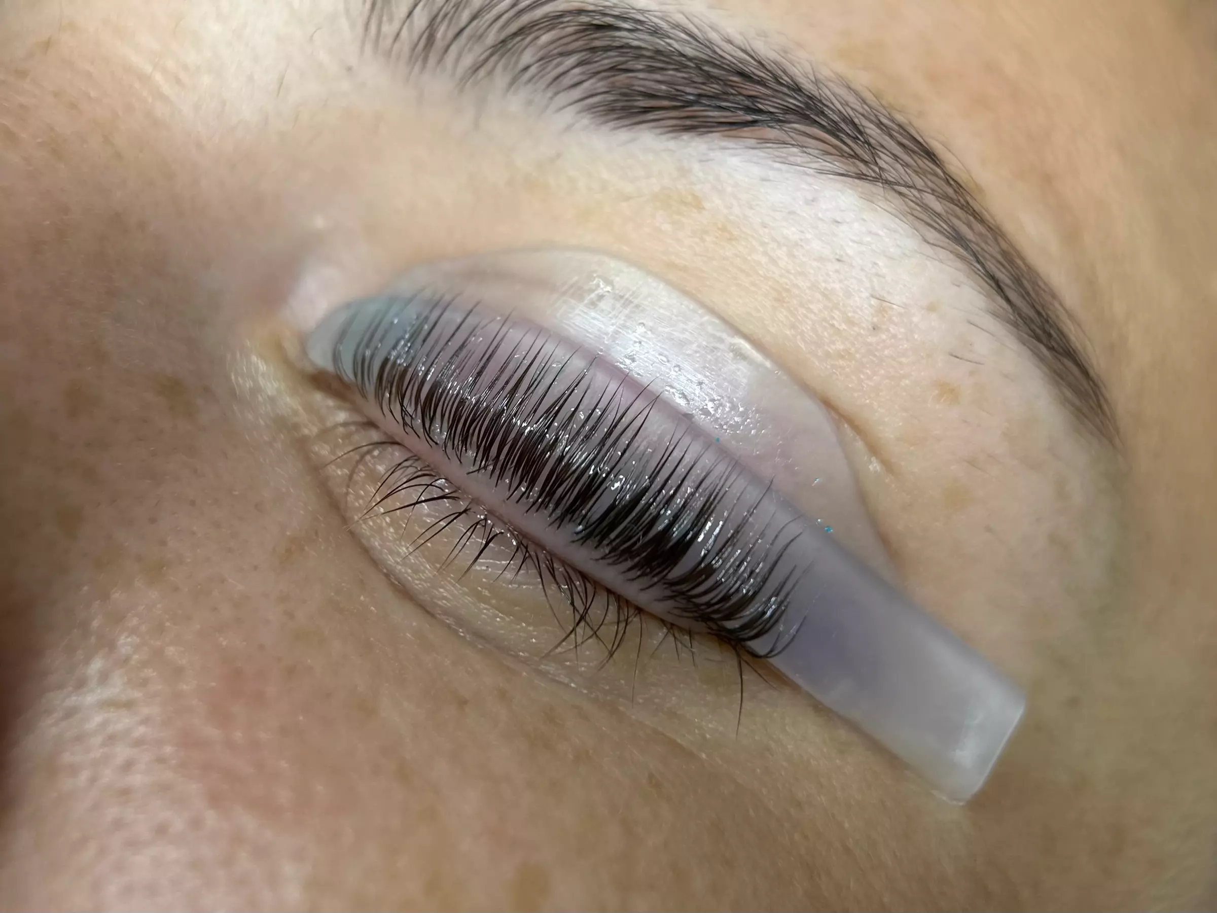 Lash- und / oder Browlifting inkl. Farbe für 1 Person