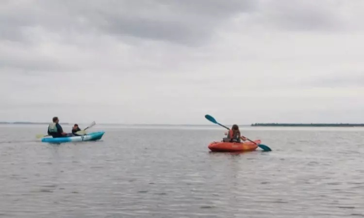 Enjoy One Hour Of Kayaking for Two, or Four