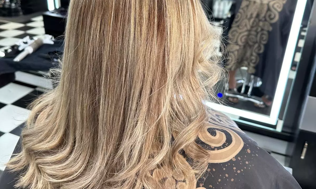 Haircut with Deep Conditioning with Partial or Full Highlights