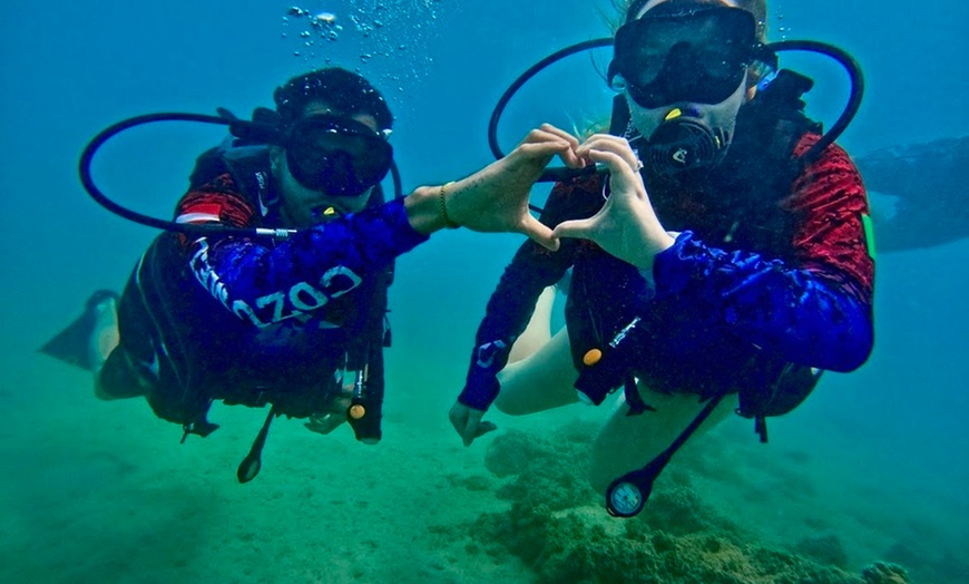 Image 2: Beginner Scuba Dive Tours with Free Videos in Waikiki, Hawaii