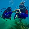 Image 2: Beginner Scuba Dive Tours with Free Videos in Waikiki, Hawaii