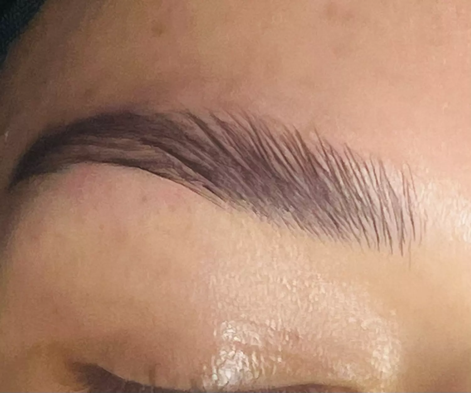 Transform Your Brows: Brow Lamination with Tint and Optional Waxing
