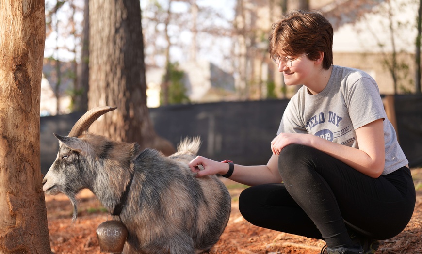 Image 9: Experience Yoga with Goats: Choose from Sessions and Activities