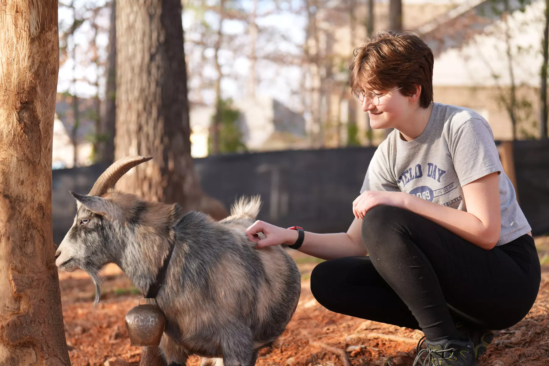 Up to 15% Off on Yoga at GGA Dwarf Goat Yoga