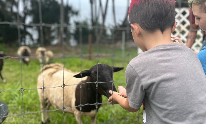 Image 7: 90-Minutes Sensory Farm Tour at Koili Point ES in Papaikou, HI