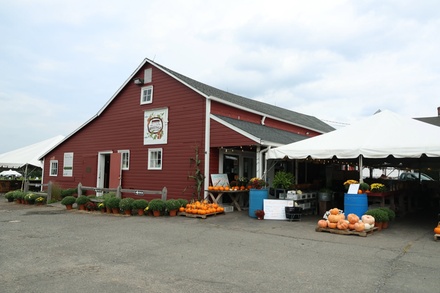 Corn Maze Admission with Snack Bag Package for 1 Person - Rosedale Farms & Vineyards