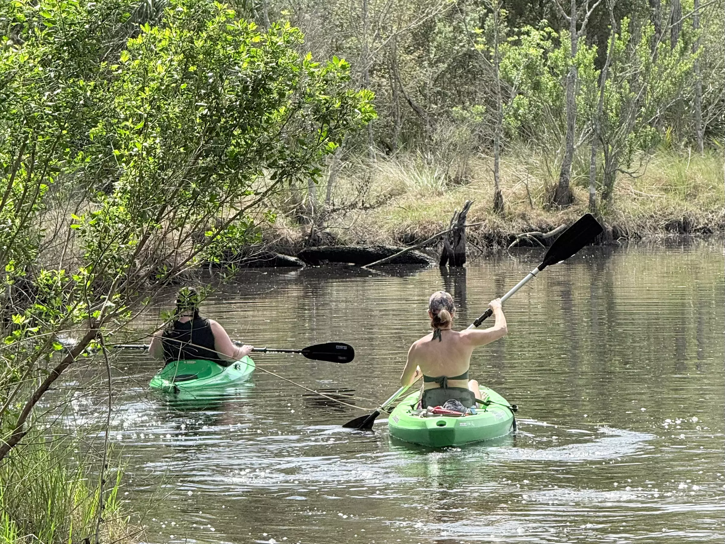 Kayak Rental Jacksonville – No Hauling, No Hassle!