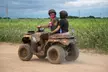 Miami's ATV Safari : Limited Edition ATV Safari in Miami's Untamed Jungle with Free Passengers & Video Package - Second Medium