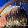 Image 5: Revitalize Your Scalp: Indulge in a Luxurious Head Spa Experience