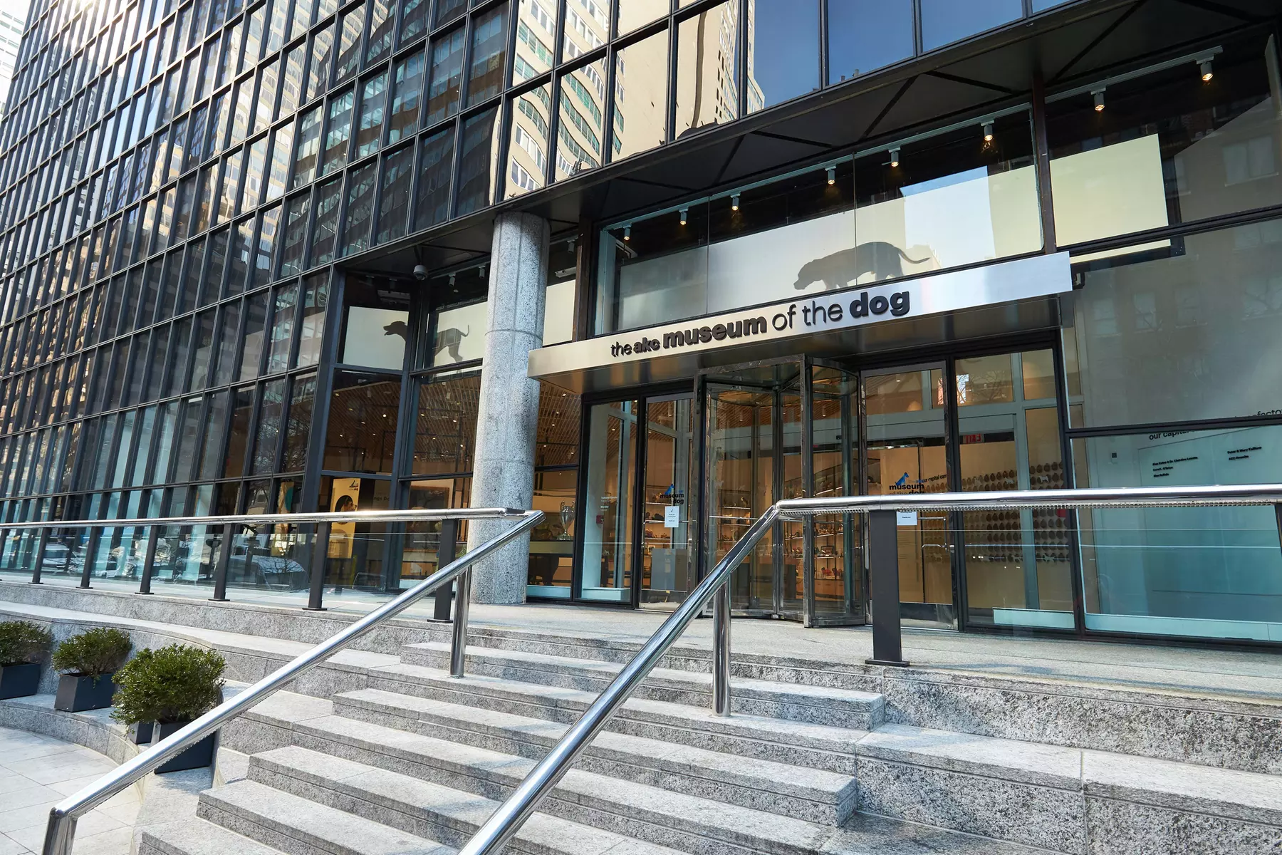 Dog-Lover’s Day Out: Admission for Individuals or the Whole Pack