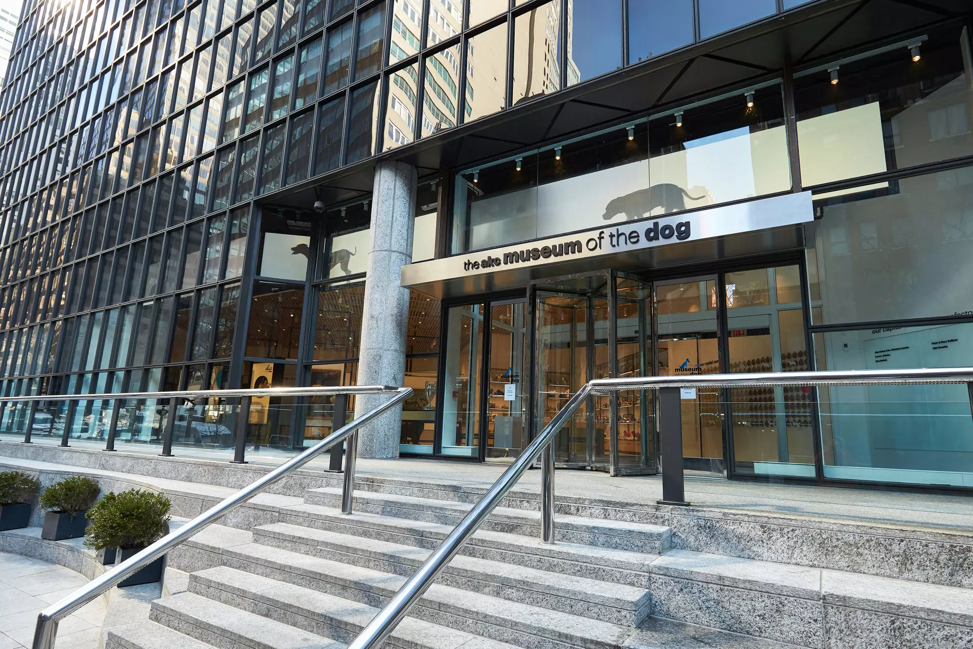 Dog-Lover’s Day Out: Admission for Individuals or the Whole Pack