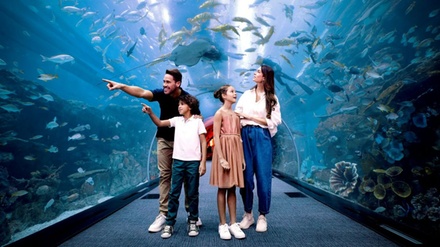 For two: Dubai Aquarium and underwater Zoo with Penguin Cove