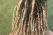 Up to 50% Off on Salon - Hair Locking/Dreadlocks at Grateful Dreads - Second Medium