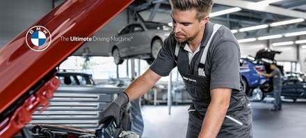 Full Synthetic Oil Change - Chantilly Shell