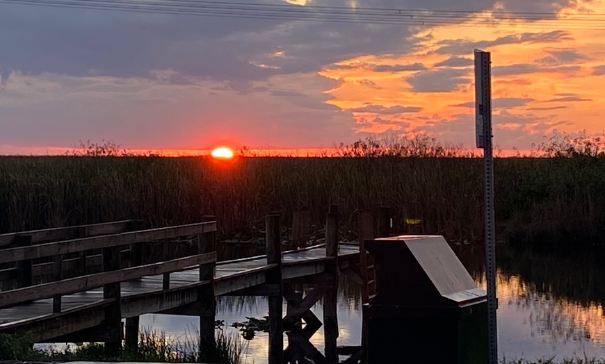 Image 3: Everglades Gator Watching Boat Tours – Day & Night Adventures