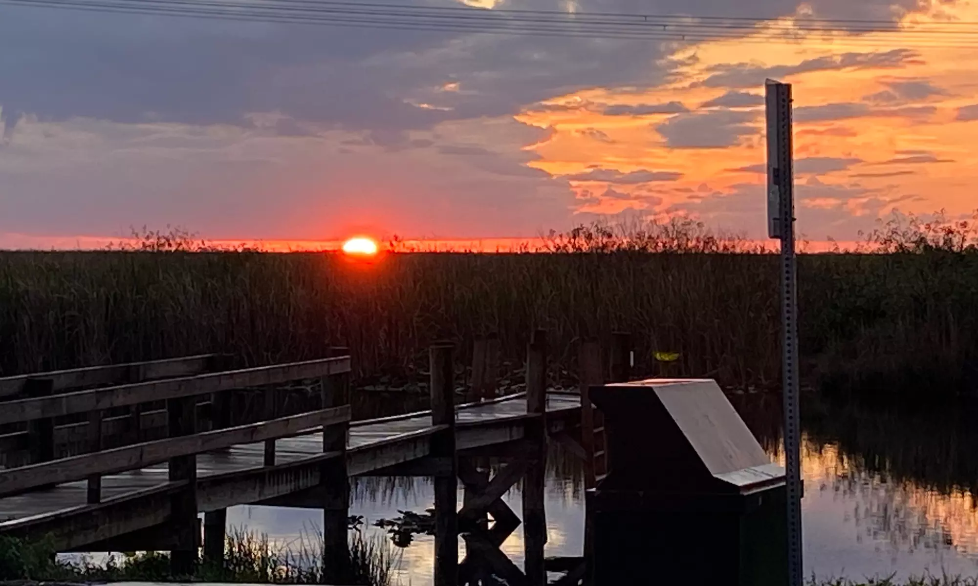 Everglades Gator Watching Boat Tours – Day & Night Adventures