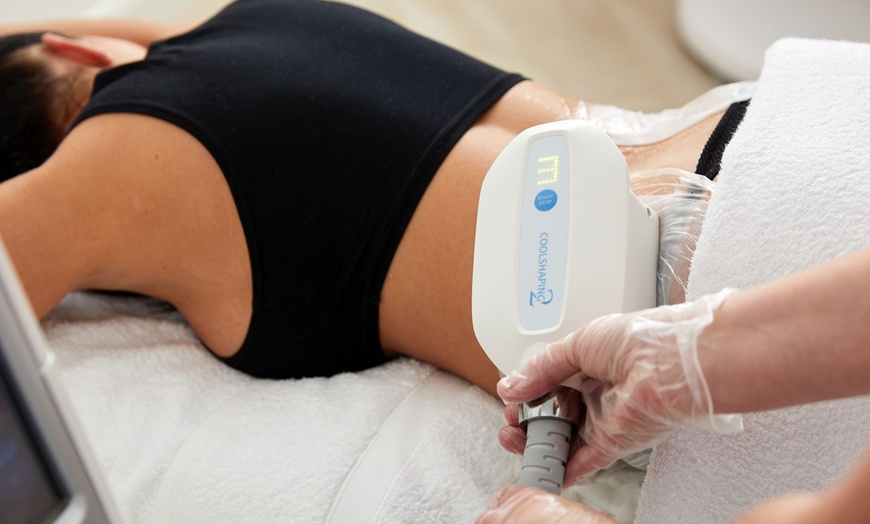 Image 1: Up to 64% Off on Cryotherapy at Fat freeze lab