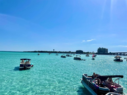 What to expect media