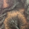 Image 5: Medium Above the Waist Boho Braids/ Knotless, Instant Locs, or Braids