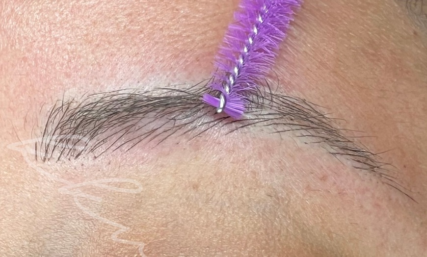 Image 1: Microblading Session