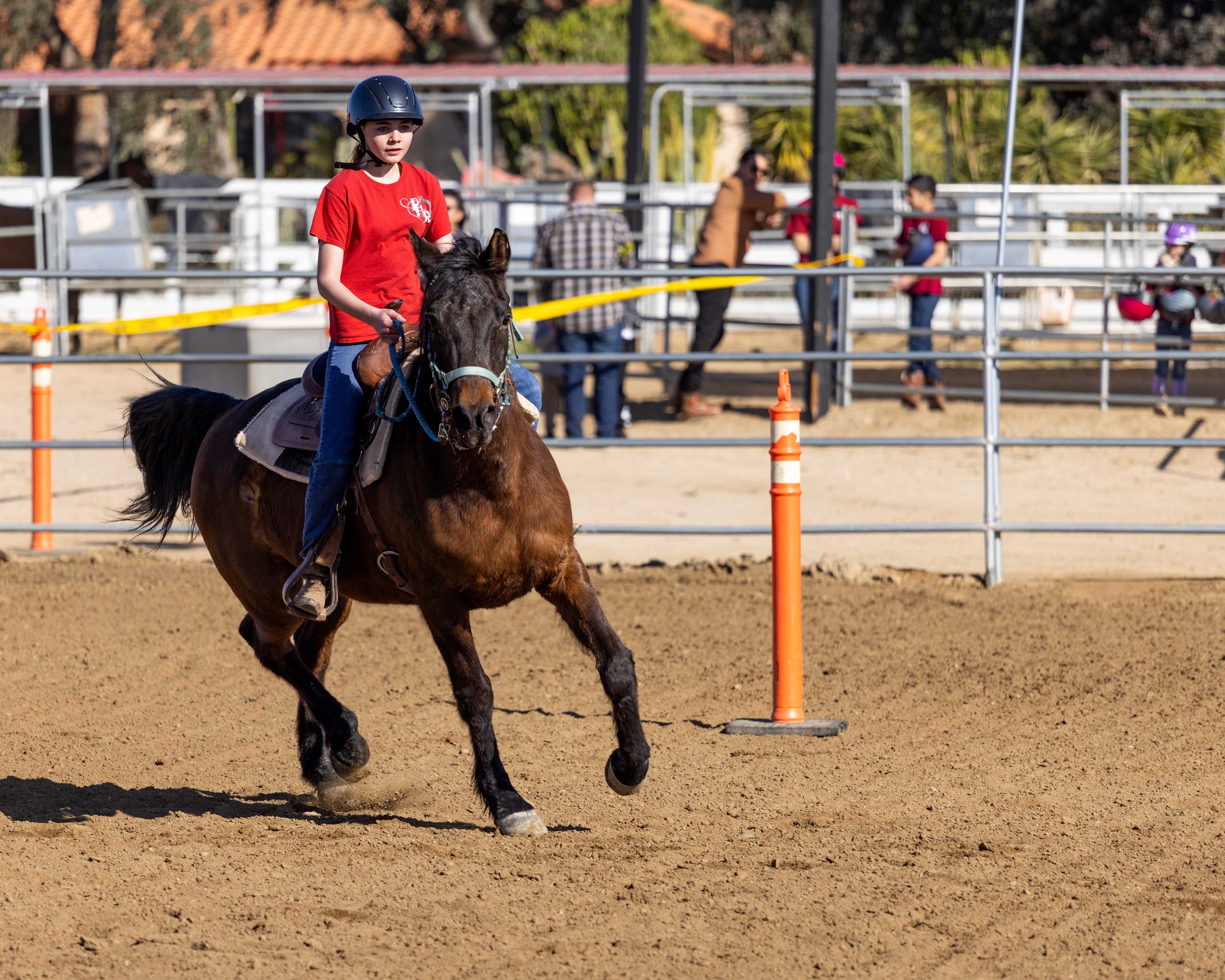 Horseback Riding Lesson: Fun 60-Minute Training for All Ages