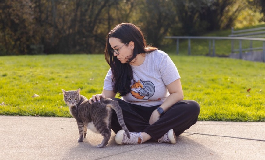 Image 4: First Intro Meeting for Expert Cat Sitting