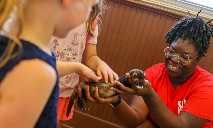 Image 4: Exclusive Wildlife Adventure: VIP Sunset Tour & Exotic Animal Feeding 