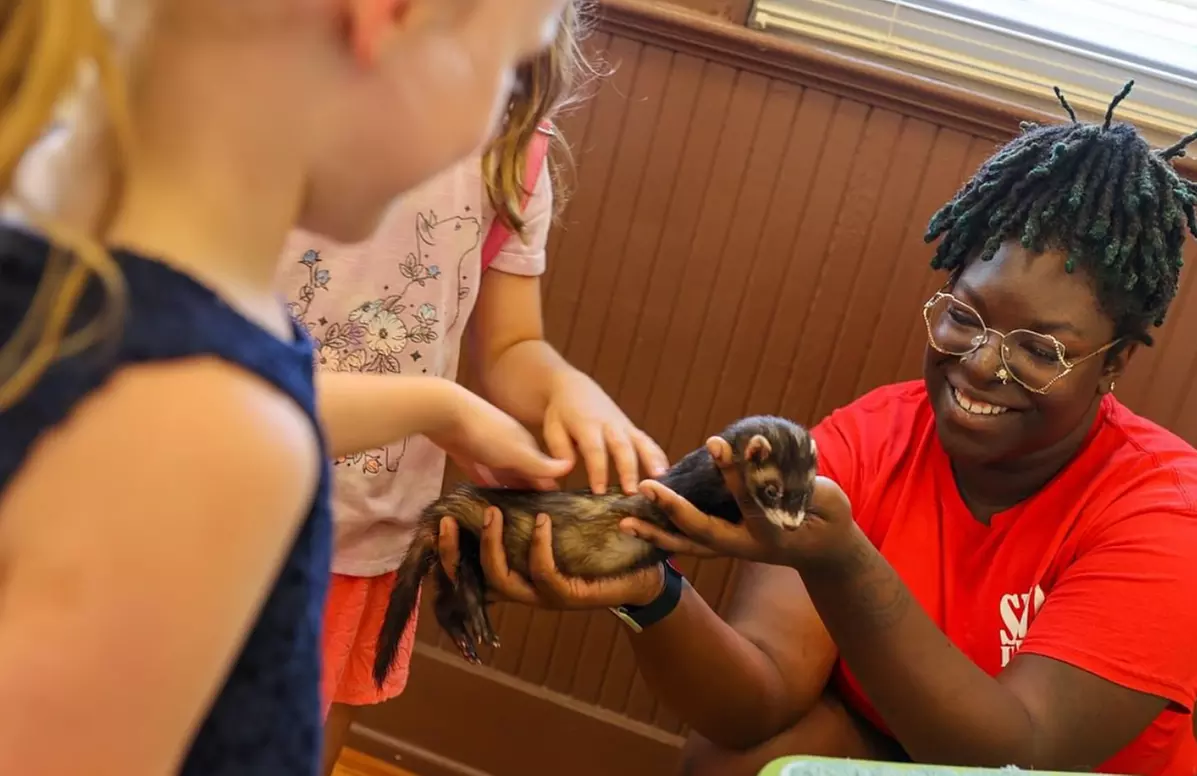 Exclusive Wildlife Adventure: VIP Sunset Tour & Exotic Animal Feeding