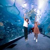 Image 3: Nature & Ocean Wonders: Dubai Miracle Garden + Dubai Aquarium Combo