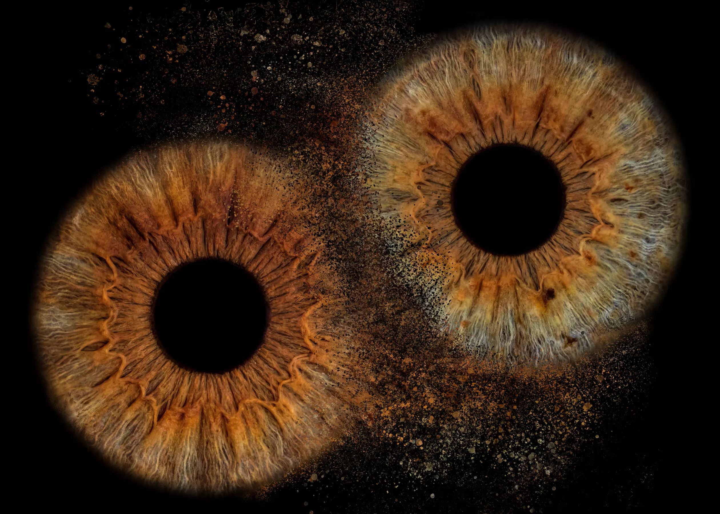 Iris Nahaufnahme: Ihr Auge im Mittelpunkt !