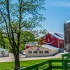 Image 2: Enjoy Family-Friendly Green Meadows Petting Farm in Milwaukee Area