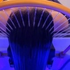 Image 1: Pamper Yourself with Japanese Head Spa Treatments with Add-on's