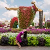 Image 10: Nature & Ocean Wonders: Dubai Miracle Garden + Dubai Aquarium Combo