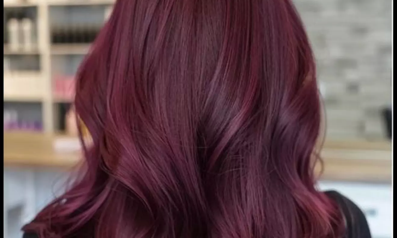 Style Up with Single Process Color with Haircut or Wash and Blow Dry